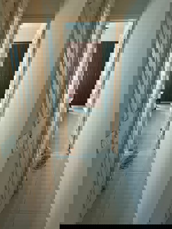 1 BHK Apartment For Rent in Wave City