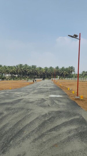 Plot Area in  Plot at Kinathukadavu – for Sale