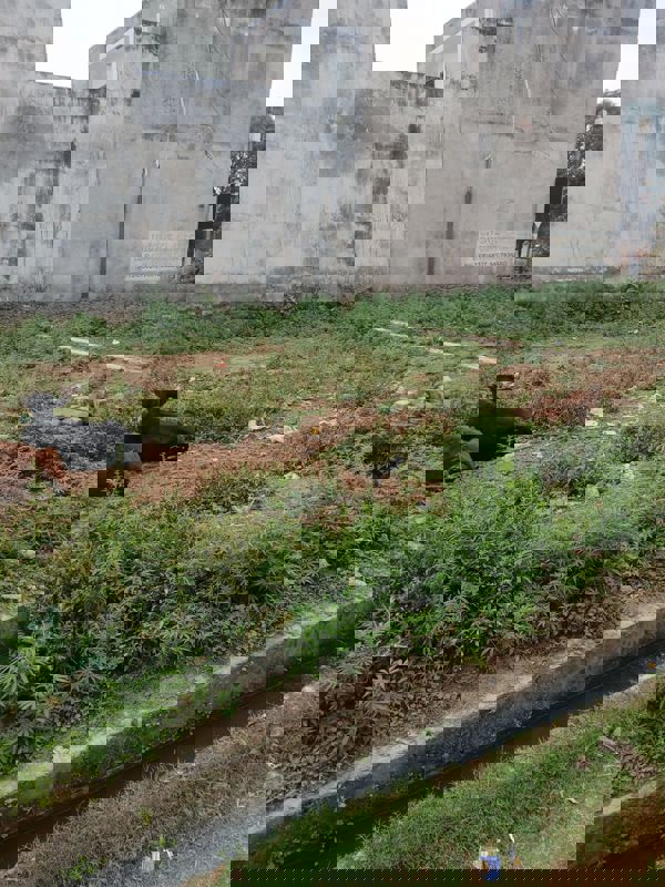 Plot For Sale in Gomti Nagar