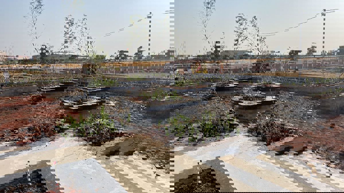 Plot For Sale in Bhubaneswar-Puri Highway