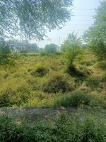 180 Sq.Yd. Plot in Sector 9