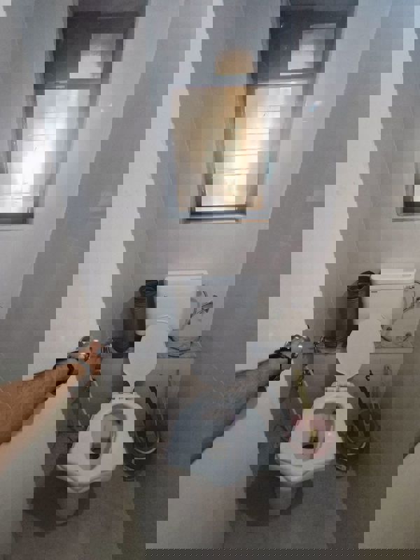 1 BHK Apartment For Rent in Lodha Palava Crown