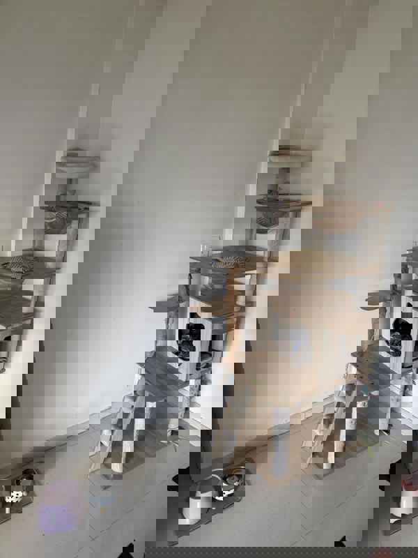 2 BHK + Store Room 774 Sq.Ft. Apartment in Jyoti Sukriti