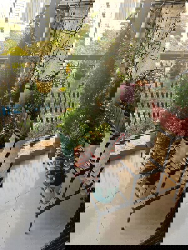 2 BHK + Extra Room Apartment For Rent in Raunak Laxmi Narayan Residency