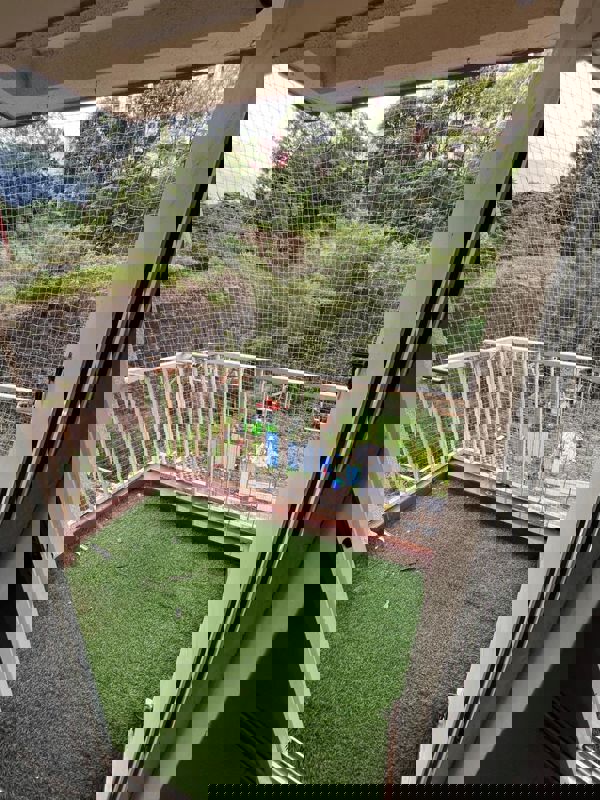 2 BHK + Study Room Apartment For Sale in Sharada Myria