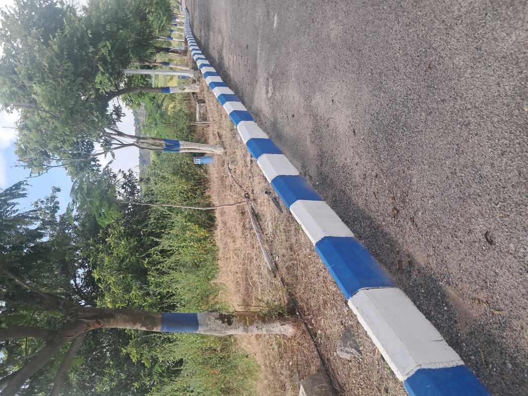 Plot For Sale in YBR Avasa Nest