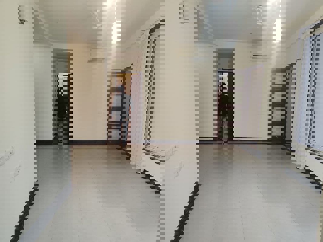 3 BHK + Servant Room Builder Floor For Rent in Chittaranjan Park