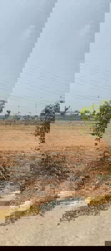 Plot For Sale in Fortune Butterfly City