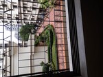 2 BHK 800 Sq.Ft. Apartment in Santacruz East