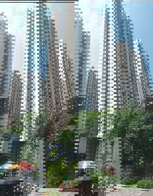 3 BHK 957 Sq.Ft. Apartment in Kalpataru Parkcity