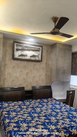 3 BHK Apartment For Rent in Sector 20