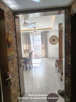 4 BHK + Servant Room Apartment For Sale in Sector 20