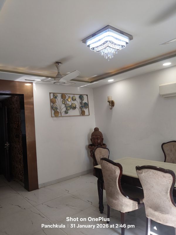 3 BHK + Study Room Apartment For Sale in Sector 20