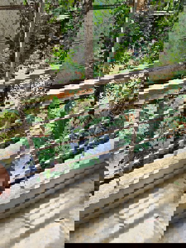 2 BHK Independent House For Rent in Sector 55