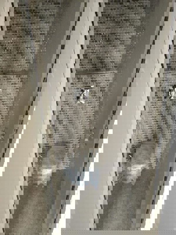 1 BHK Apartment For Rent in Brahma Waterbay