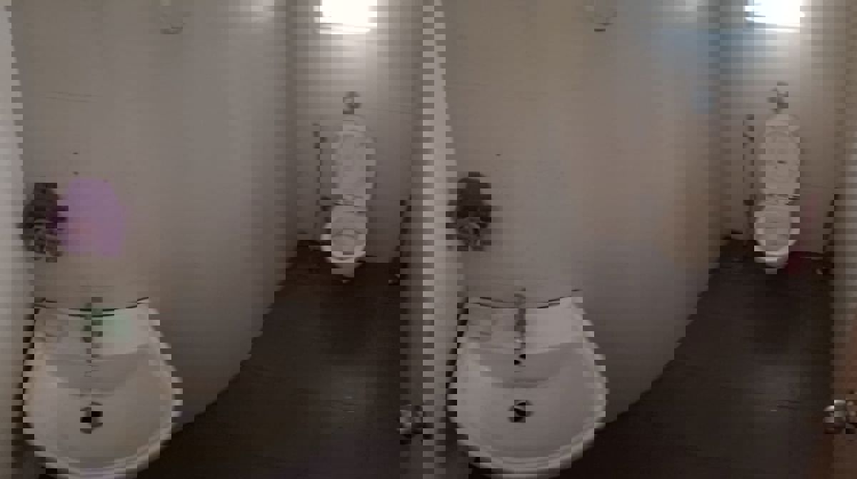 1 BHK Apartment For Rent in Lodha Casa Rio