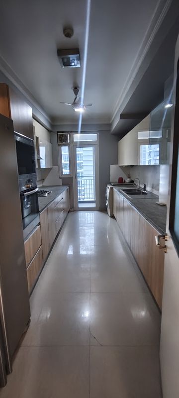 4 BHK + Pooja Room,Servant Room,Study Room,Extra Room Apartment For Rent in DLF The Belaire