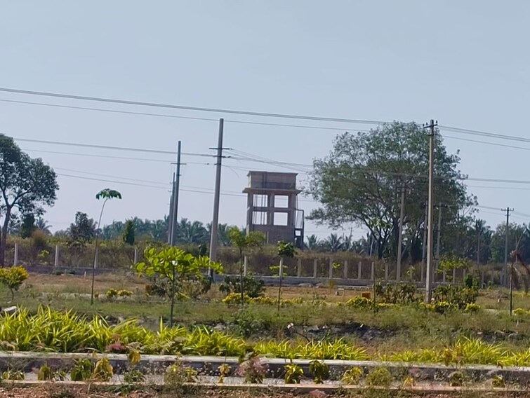 Cover Image, vijay nagar  1200 Sq.Ft. Plot In Vijay Nagar Hassan 9887974