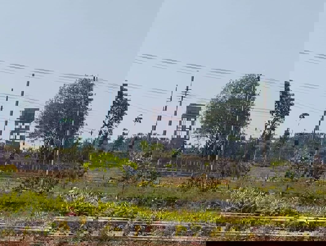 Plot For Sale in Vijay Nagar