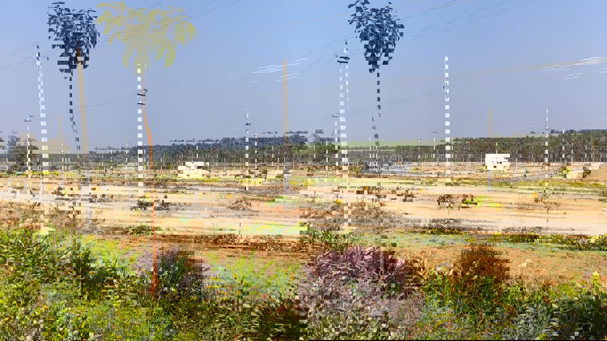 Plot For Sale in Pillahalli