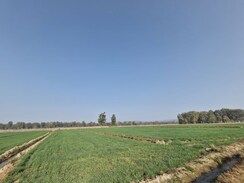 Plot For Sale in Ramnagar