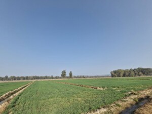 Plot Area in  Plot at Ramnagar – for Sale