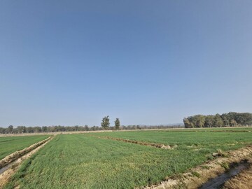 Plot Area in  Plot at Ramnagar – for Sale