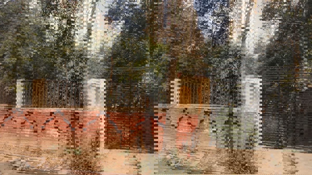 Plot For Sale in Delta III Greater Noida