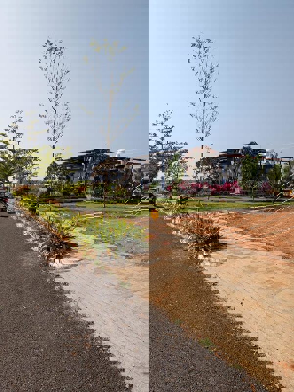 Plot For Sale in Vijay Nagar