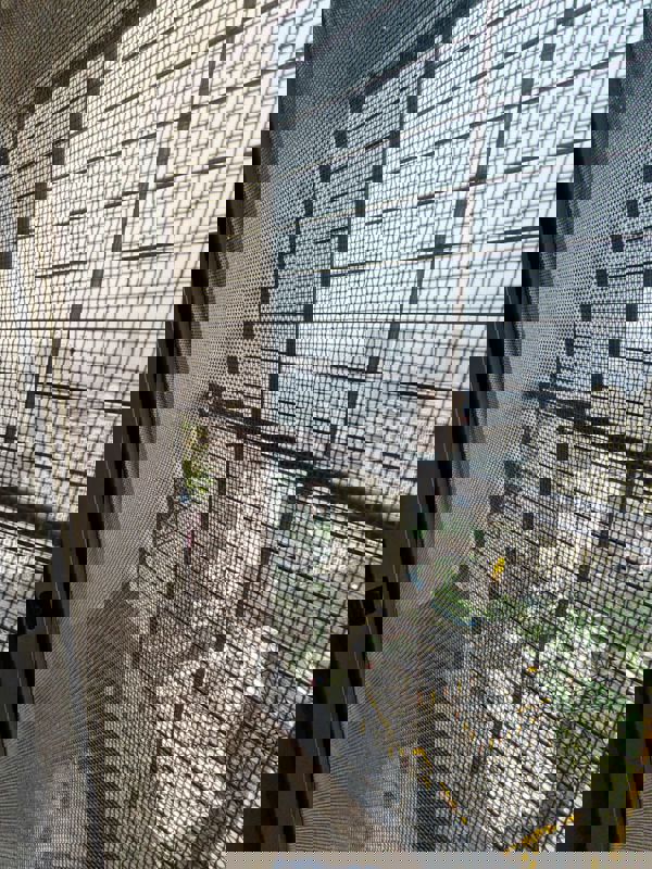 2 BHK 570 Sq.Ft. Apartment in Runwal Eirene Part 1