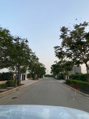  Plot – Exterior View View at Central Park Flower Valley Mikasa Plots, Sohna Sector 33 - for Sale