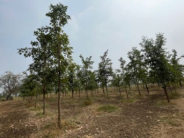 Plot Area in  Plot at Saidapur – for Sale