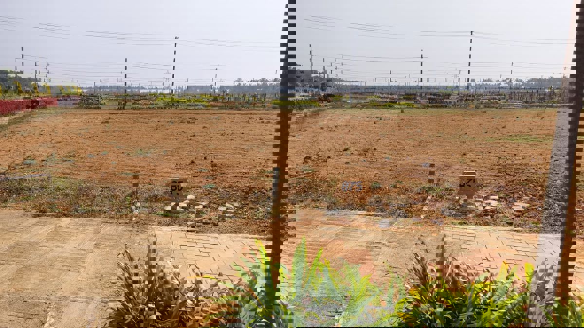 Plot For Sale in Alur