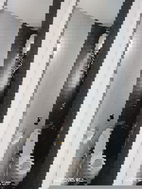 2 BHK Apartment For Rent in Tanish Park