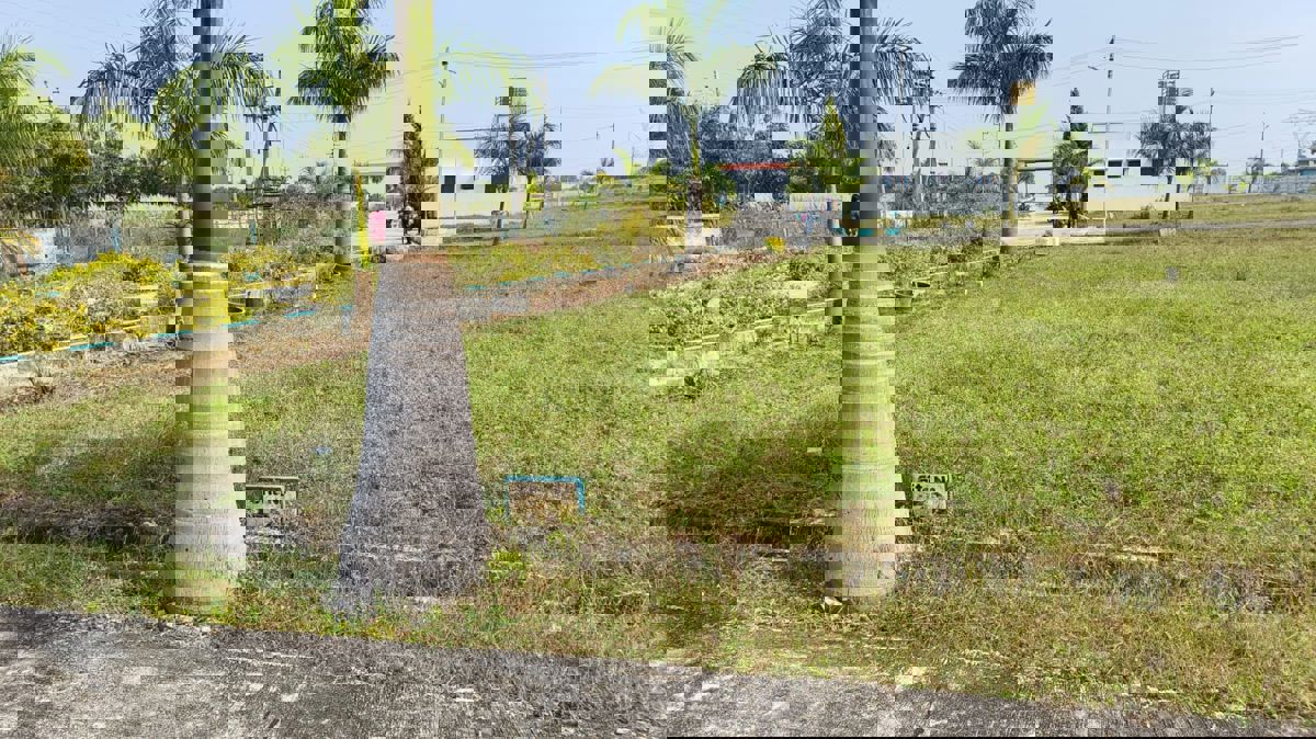 Plot For Sale in Oraiyan Rainbow City