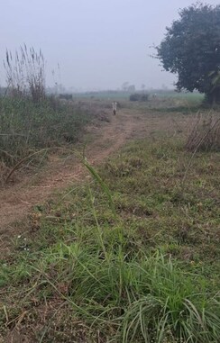 Plot For Sale in Kankhal