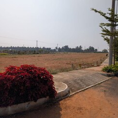 Plot For Sale in Vijay Nagar