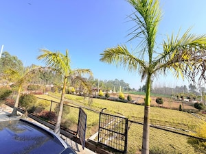  Plot – Exterior View View at Mohabbewala - for Sale