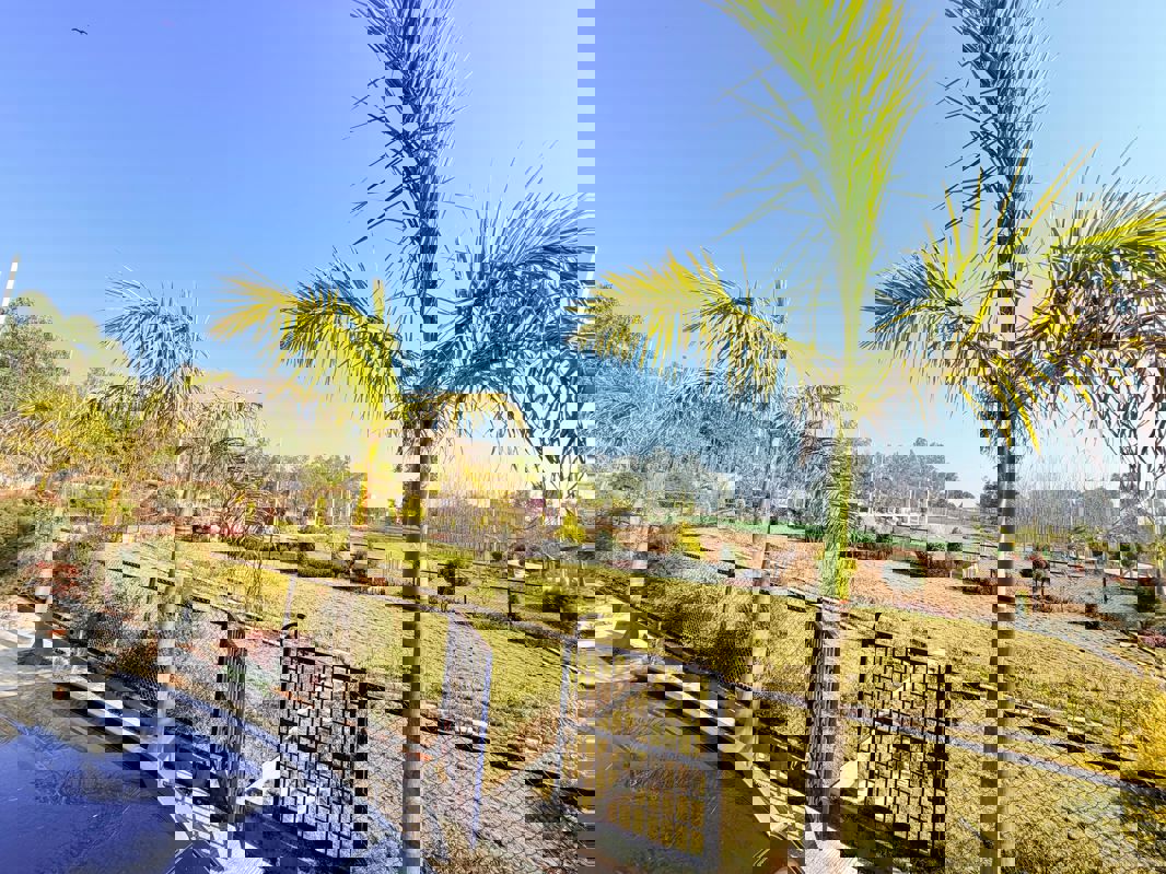 Plot For Sale in Mohabbewala