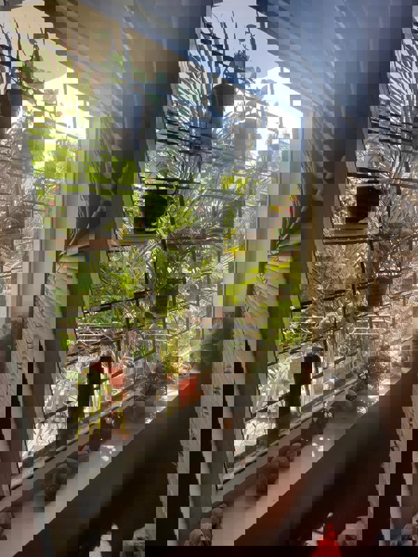 1.5 BHK + Pooja Room Builder Floor For Rent in RWA Apartments Sector 20