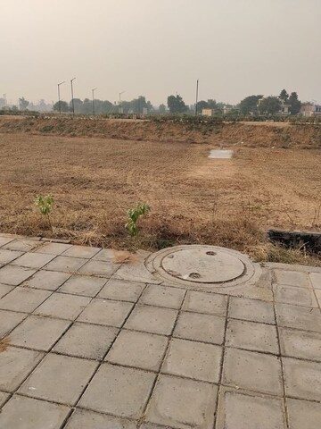 Plot Area in  Plot at Sector 19 – for Sale
