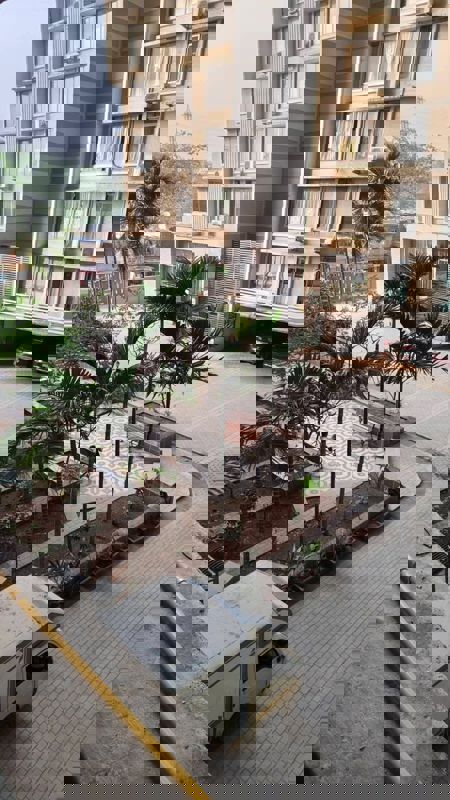 1 BHK 693 Sq.Ft. Apartment in Spenta Alta Vista