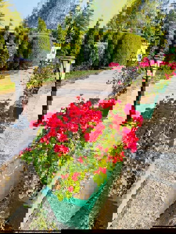 Plot For Sale in Wing Lucknow Greens Plots