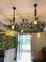 10000 Sq.Ft. Pg in Hinjewadi