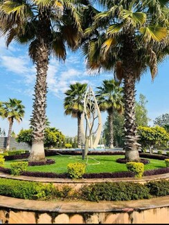 Plot For Sale in Wing Lucknow Greens Plots