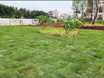 2400 Sq.Ft. Plot in Ramohalli