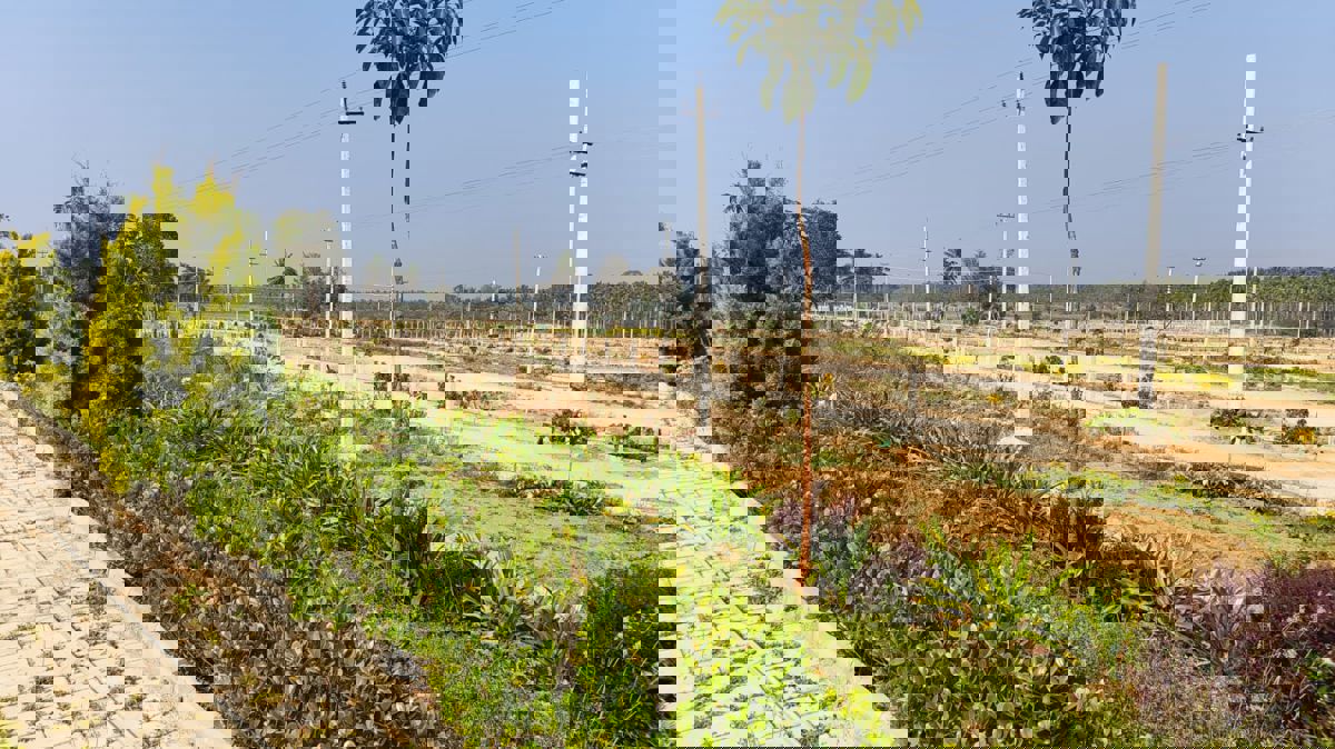 Plot For Sale in Pillahalli