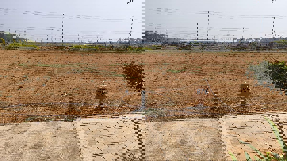 Plot For Sale in Pillahalli