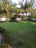 18000 Sq.Yd. Plot in Narthan