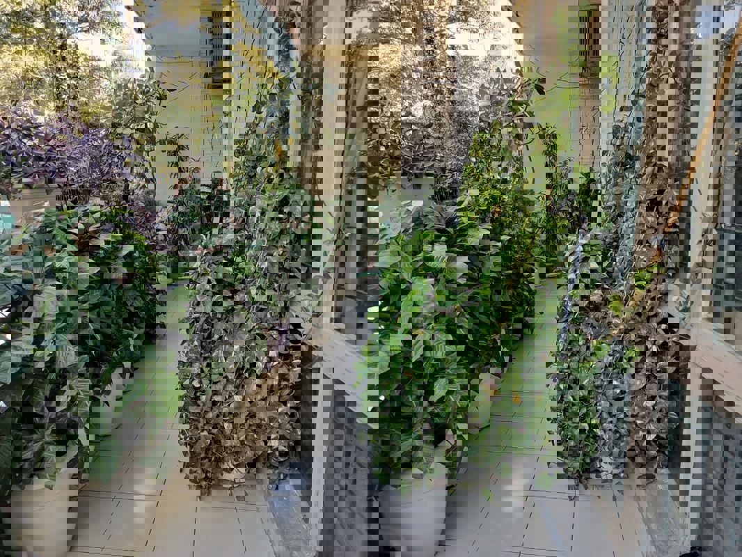 4 BHK Builder Floor For Sale in Ardee Platinum Independent Floors